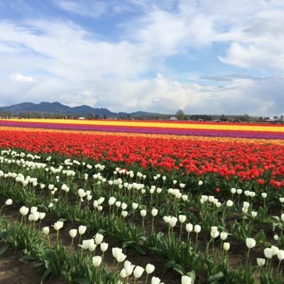 sunilpallu1's profile picture. 