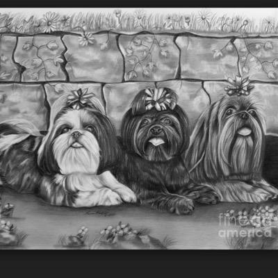 dog paw blog: postings about pet products, pet travel, and pet care.
http://t.co/rWYuU6cJqi
http://t.co/MvQv6ybibf
http://t.co/NlPACPP9T9