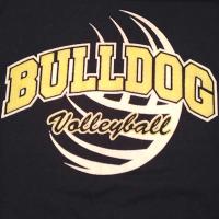 Lapel Volleyball (@lapelvb) Twitter profile photo