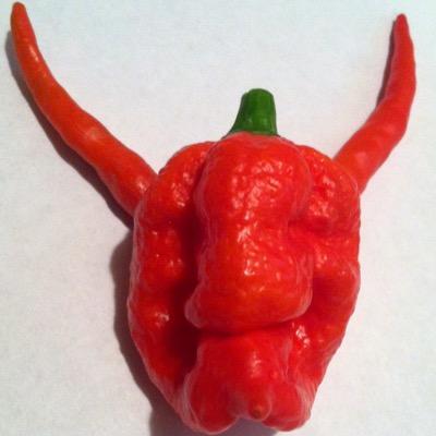 Experimental grower.... of an array of botanicals including Mitragyna speciosa Florida-MMP MKE native.