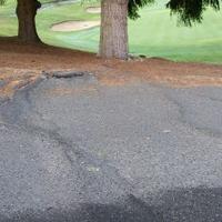 Todd Creighton (@flatpaths) Twitter profile photo