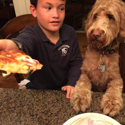 Dad, husband, NC State fanatic, labradoodle lover, travelnista, and energy expert in my spare time.