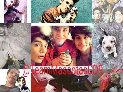 TeamMascotasCD9's profile picture. Cuenta dedicada a las mascotas de @somosCD9    Admins:      @AndreaTorrescd9  @Hannah_Coder  @AguilarCanela