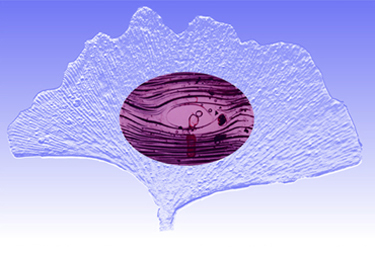 andyrz's profile picture. Searcher