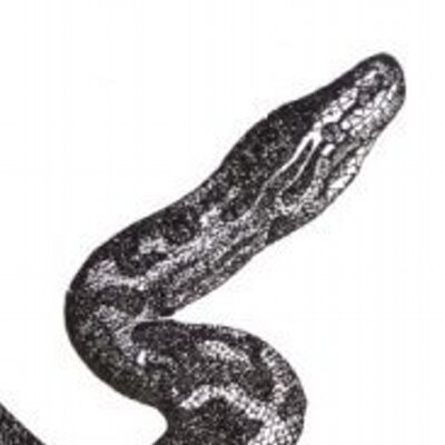 veleno_jp's profile image