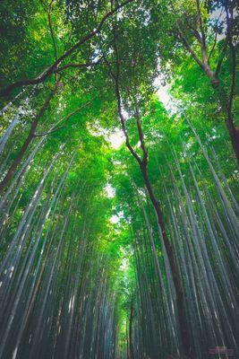 豊富な雑学と愉快な経験則からの突っ込みが私の人生の最大のテーマです。座右の銘は、経験こそ価値のある財産はない。努力は人を裏切らない!