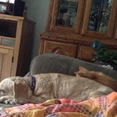 D46Weir's profile picture. 