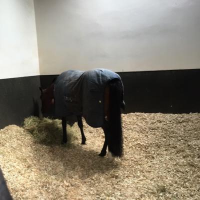 Hanly85's profile picture. Shifting tin