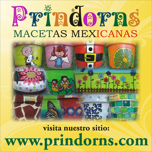 Macetas Mexicanas Artesanales, pintadas a mano