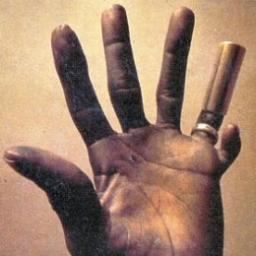 MurrayCodpiece's profile picture. By day, some bloke named Duane. A husband, a father. By night, Hound Dog Taylors' fretting hand, with six brains, one in each finger.