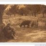 ShavankBaloch's profile picture. Shepherd