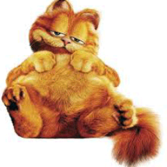 irocez1972_top's profile picture. 