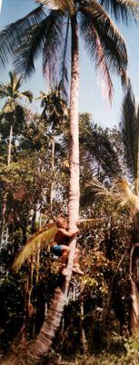 barryconwy42's profile picture. 