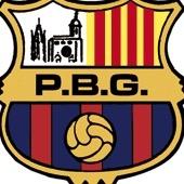 Penya Barcelonista de Girona, fundada al 1982. info@penyabarcelonistagirona.cat