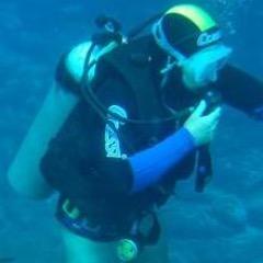 _promac's profile picture. 