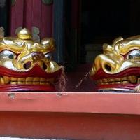 Brian Johnstone (@bxjohnstone) 's Twitter Profile Photo