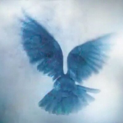 peaceunity_mi's profile image