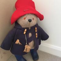 Jackie Bickerstaffe (@jbickerstaffe) 's Twitter Profile Photo Jackie Bickerstaffe (@jbickerstaffe) 's Twitter Profile Photo