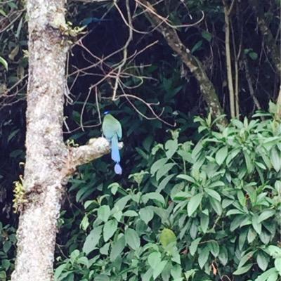 luiasfmendezra's profile picture. 