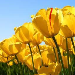 swsn92's profile picture. اللهم صل على سيدنا محمد .