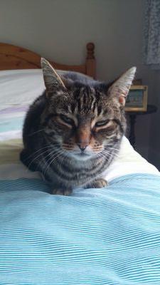 Carey16Bill's profile picture. 