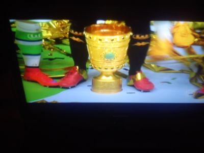 Wolfsburg ist zum ersten mal meister geil danke de bruyne danke luiz gustavo danke bas dost danke ihr seid die besten den Pokal den, habt ihr euch verdient