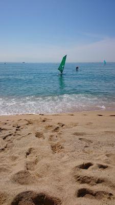 sheilarp81's profile picture. 