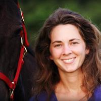 Willow Springs Farm (@willowsprngsfrm) 's Twitter Profile