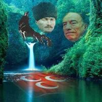 Ahmet Enver Çelik(@ahmetenvercelik) 's Twitter Profile Photo