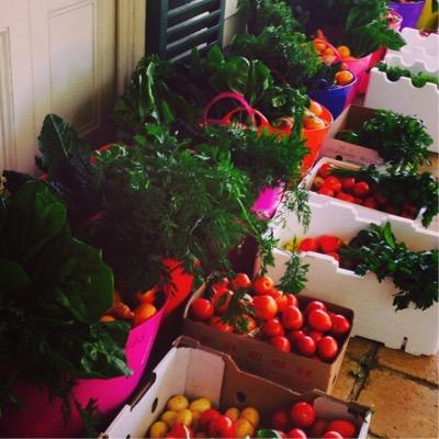 KitchenAthletes's profile picture. Accredited Sports Dietitian from the Athletes Kitchen, Rebecca Hay. 
Facebook and Instagram as  @theathleteskitchen