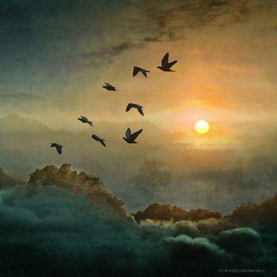 tefera969's profile picture. give love a chance