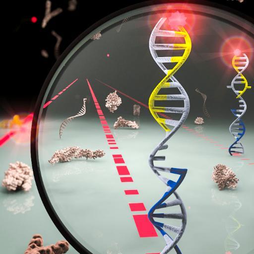 We study cool RNAs - reaching unprecedented single molecule sensitivity with fancy microscopes and answering the question of how cellular life works