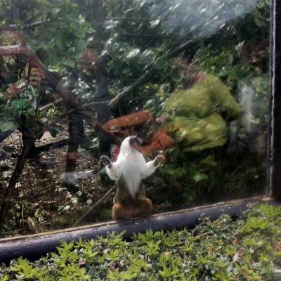 tommyallso's profile picture. Like to try and keep fit just need consistency and that bit of extra motivation