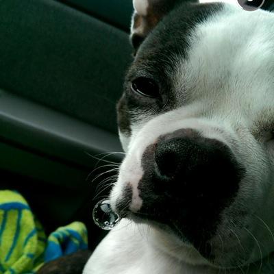 jayosanne's profile picture. another person that spam accounts can follow