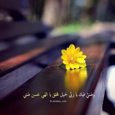 WafaaSaimour's profile picture. Work hard in silence; let success make the noise. personal account