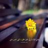 WafaaSaimour's profile picture. Work hard in silence; let success make the noise. personal account