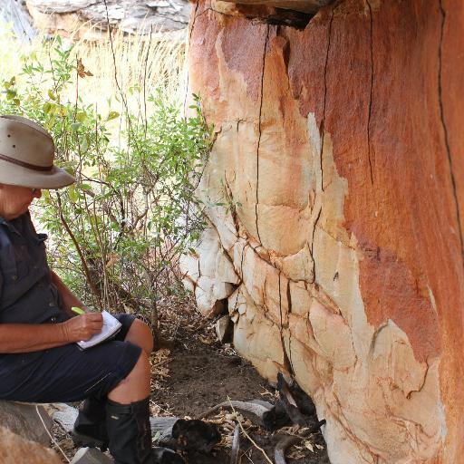 Archaeologist, Historian Kimberley WA.  Apposed to Socialist governments, corrupt & communist politicians. Support basic civil rights & freedom of speech.