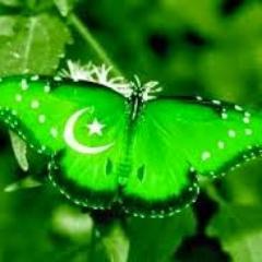 NonStopFun1's profile picture. 