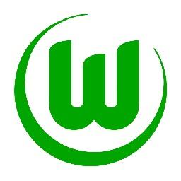 Eine VfL Wolfsburg Fanseite