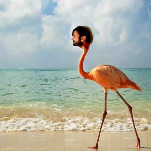 Boshimane's profile picture. 