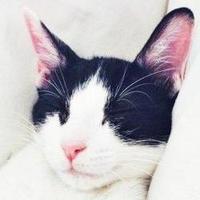 うぃず (@whiz_drop) 's Twitter Profile