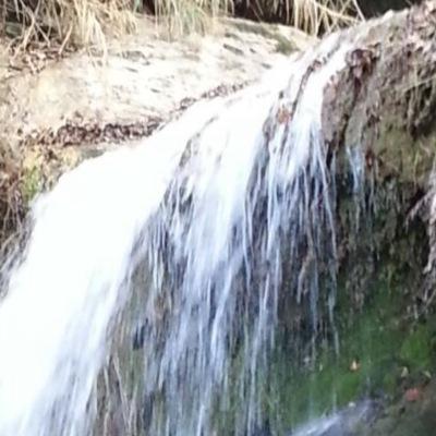 Wael88901607's profile picture. 