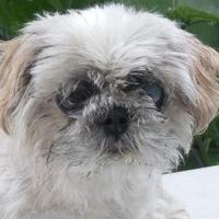 D1skist 💖K7D1💖ずっと全力熱視線！✨✨✨ (@d1skist) 's Twitter Profile Photo