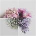 mar*hid (@marrhida) Twitter profile photo mar*hid (@marrhida) Twitter profile photo