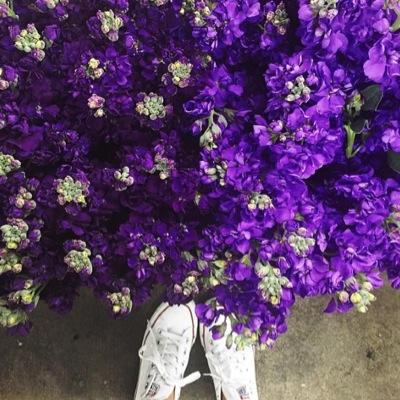 MNSA92's profile picture. 