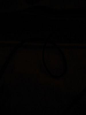 danielpetric90's profile picture. 