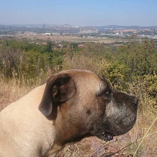 adbuson's profile picture. 