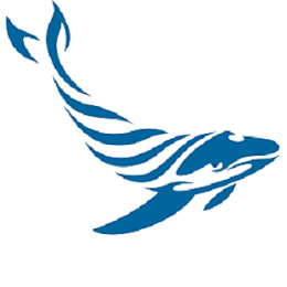 navegaybucea's profile picture. 