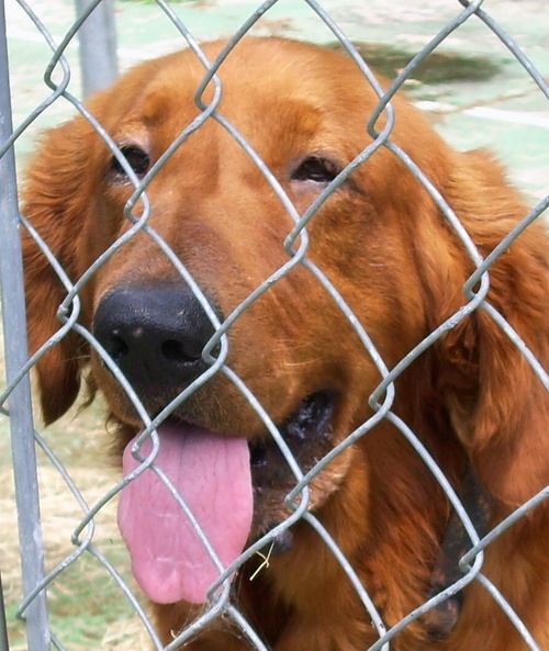 BEST41MOM's profile picture. 