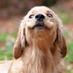 Deleted Wiki Titles (@deletedwiki) Twitter profile photo Deleted Wiki Titles (@deletedwiki) Twitter profile photo